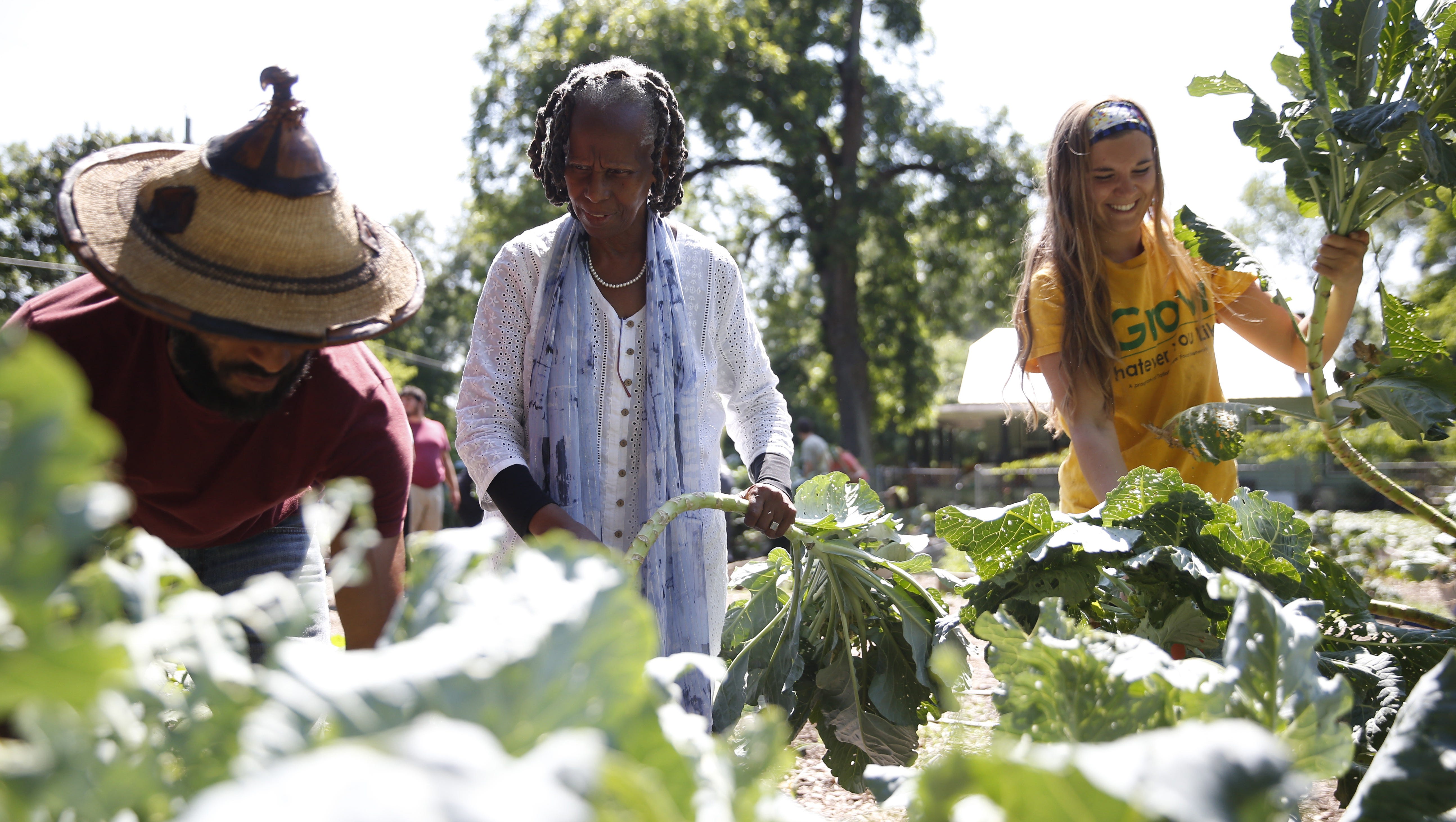 Sundiata Ameh-El, from left, Miaisha Mitchell and Melanie Marques work together to grow cabbage greens from the vegetable patch at IGrow, a community garden in Frenchtown that was set up to promote local youth volunteer development and fresh produce for an area known as Food desert applies.