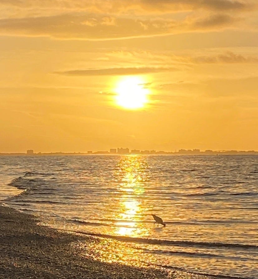 A sunrise from a beach on Sanibel Island.