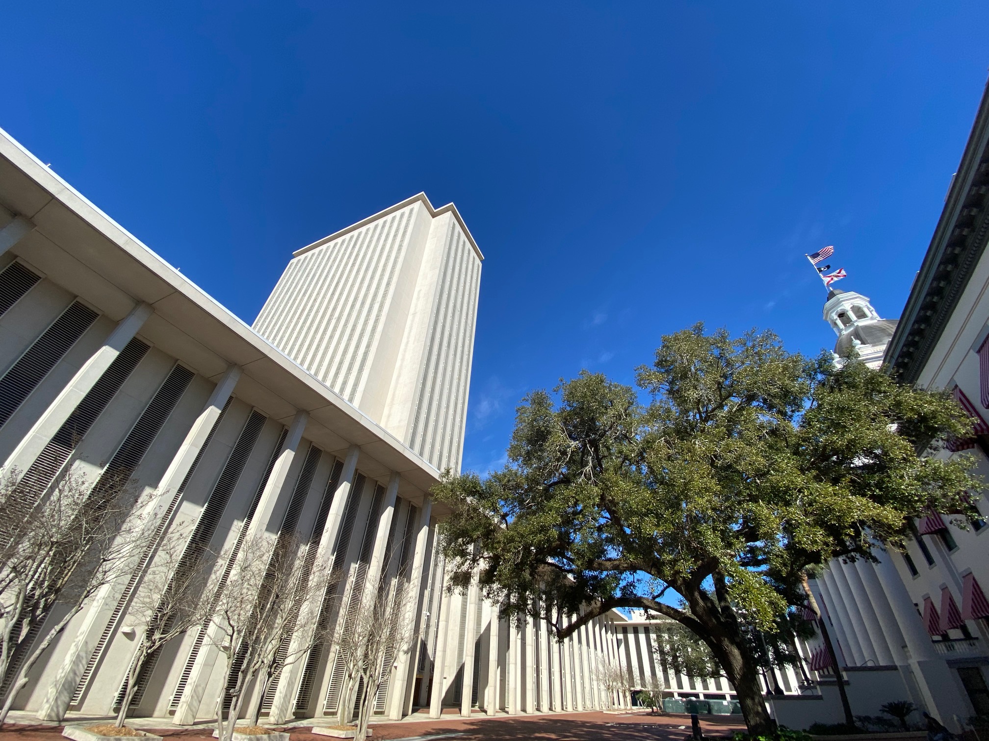 Committee week in Florida's Capitol: Welcome to the festival of ignorance