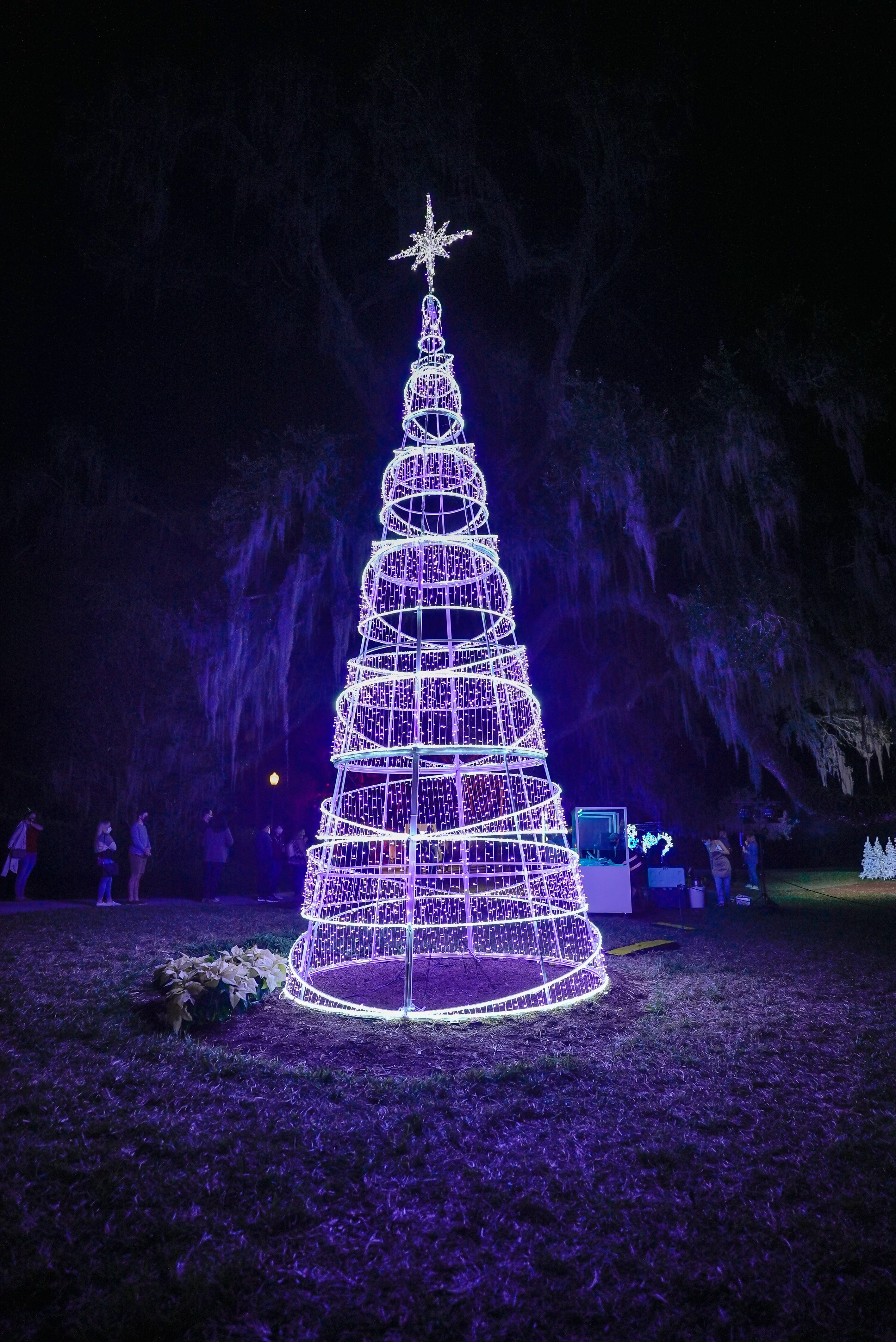 A 9 meter long illuminated Christmas tree is one of the interactive Christmas lights