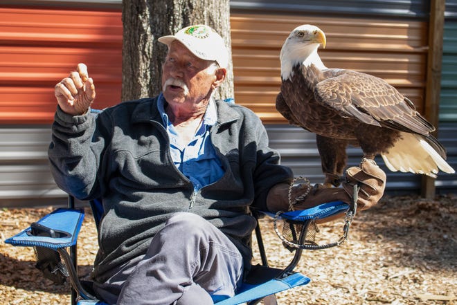 Patrick Bradley, board member of Wrede's Wildlife Center in Sebring, holds Thunder, a bald eagle, during the eighth annual Pints ​​and Predators at First Magnitude Brewery.  Bradley works with birds of prey and pairs them with veterans suffering from PTSD as a form of approved therapy.