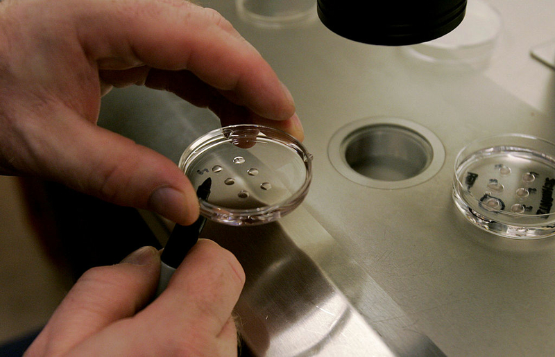 IVF patient vows to fight for access to treatment in Alabama following court ruling