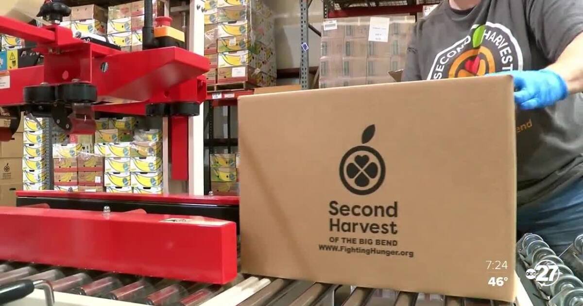 Second Harvest CEO talks new fundraiser 'The Harvest'