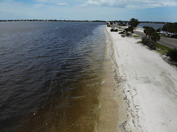 Red tide on August 1, 2018 in Sanibel, Florida